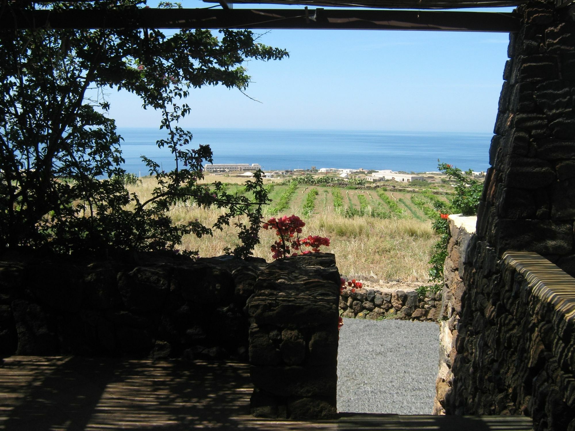 Agriturismo Zibibbodoro Scauri  Zewnętrze zdjęcie